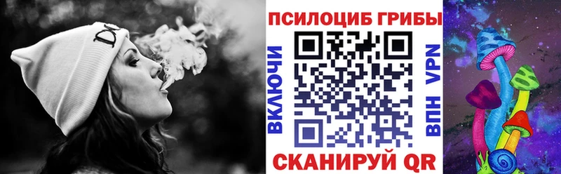 дарнет шоп  Тарко-Сале  Псилоцибиновые грибы GOLDEN TEACHER 