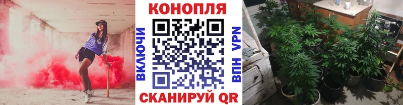 KRAKEN ссылки Тарко-Сале Бошки марихуана планчик что такое наркотик